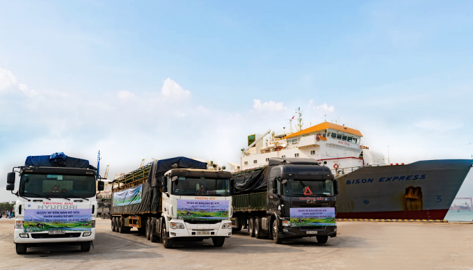 Đoàn xe hơn 80 chiếc tập kết tại cảng Dung Quất, sẵn sàng để đưa hơn 2.100 bò sữa nhập khẩu từ Mỹ về trang trại mới của Vinamilk tại Quảng Ngãi. Ảnh: Xuân Hương.