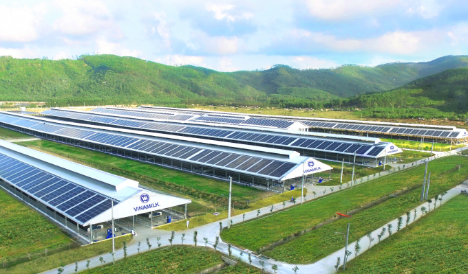 Trang trại bò sữa Vinamilk Quảng Ngãi có quy mô lớn với công nghệ hiện đại và đã được đầu tư hệ thống điện mặt trời từ đầu năm 2021. Ảnh: Xuân Hương.