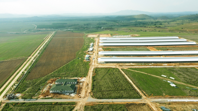 Trang trại đầu tiên trong Tổ hợp bò sữa Lao-Jagro tại Xiêng Khoảng của Vinamilk đã hoàn thành các hạng mục xây dựng cơ bản. Ảnh: Đỗ Hưng.