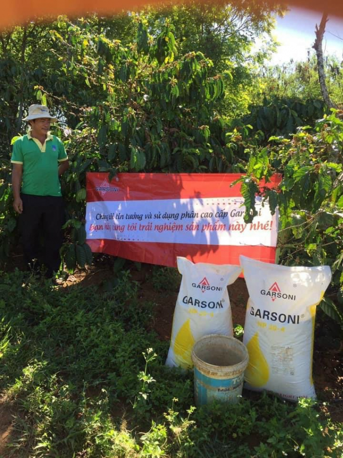 Phân bón Garsoni giúp các loại cây trồng nhất là cà phê nâng cao năng suất, chất lượng. Ảnh: Đức Trung.