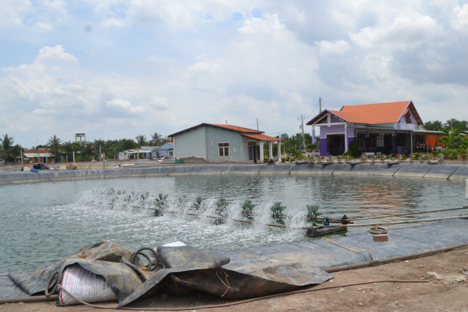 Nhiều người dân nuôi tôm xã Tân Chánh trở thành tỷ phú nhờ chuyển đổi sang nuôi tôm công nghệ cao. Ảnh: Minh Sáng.