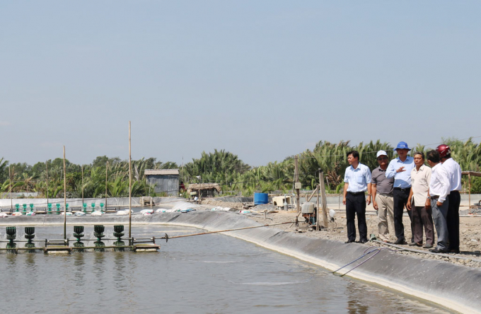 Lãnh đạo Sở NN-PTNT tỉnh Long An khảo sát tình hình nuôi tôm công nghệ cao tại các HTX. Ảnh: Minh Sáng.