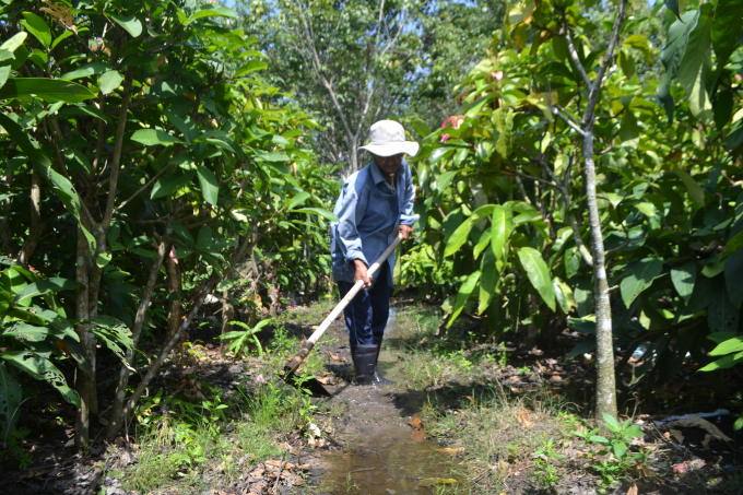 Farmers in Tay Ninh Province convert land from growing rice to growing forest vegetables. Photo: Tran Trung.