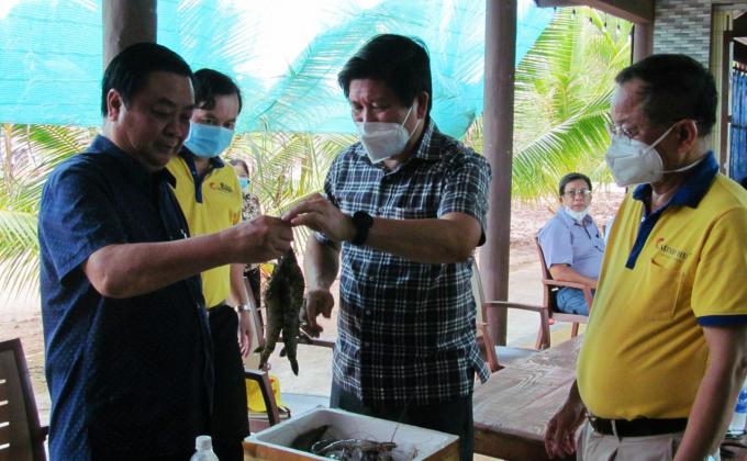  Bộ trưởng Lê Minh Hoan thăm mô hình nuôi tôm tại Cà Mau. Ảnh: Trần Trung.