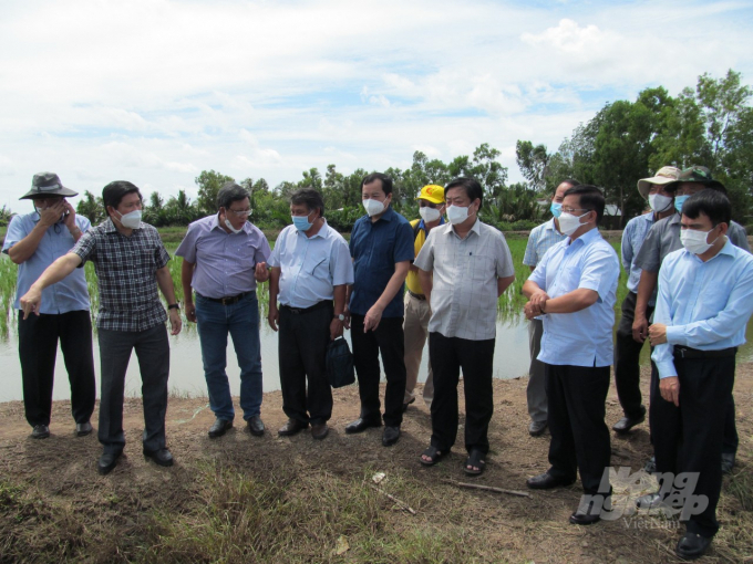 Đoàn công tác Bộ NN-PTNT do Bộ trưởng Lê Minh Hoan dẫn đầu thăm vùng thủ phủ chuyên canh tôm lúa Thới Bình (Cà Mau). Ảnh: Minh Sáng.
