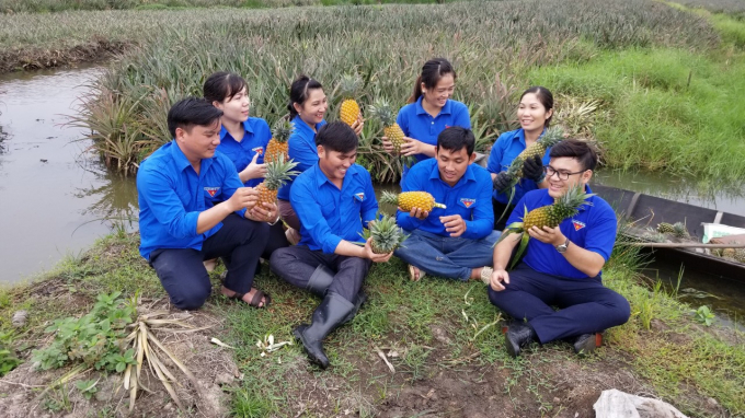 Vùng chuyên canh khóm Tân Phước không ngừng thay da đổi thịt. Ảnh: CTV.