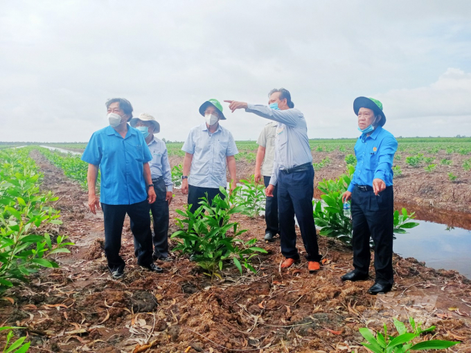 Việc áp dụng phương thức khai thác luân phiên, khai thác đến đâu, trồng mới đến đó không những không làm ảnh hưởng đến nguồn sinh quyển hiện có của rừng, mà còn giúp cho động thực vật gắn liền với rừng được giữ vững. Ảnh: Hồng Thủy.