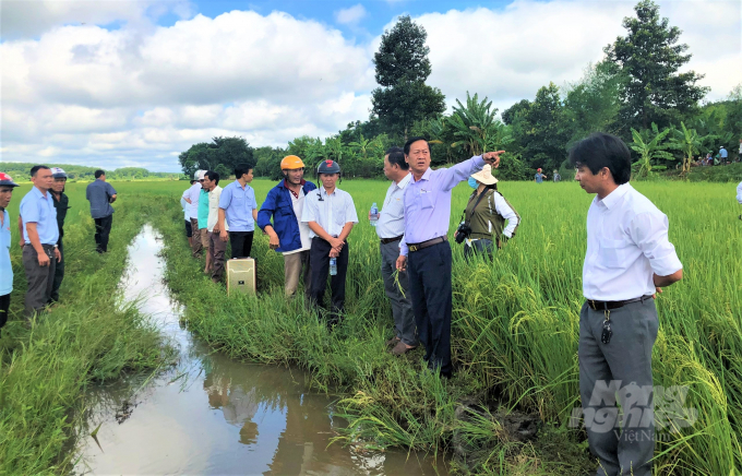 Trung tâm dịch vụ nông nghiệp huyện Bù Đốp tập huấn chuyển giao KH-KT về trồng lúa thơm chất lượng cao ST 24 cho người dân địa phương. Ảnh: Trần Trung.