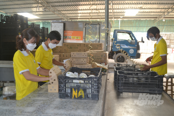 Nhờ chứng nhận OCOP công ty Natani nhận được nhiều đơn đặt hàng để xuất ngoại. Ảnh: Trần Trung.