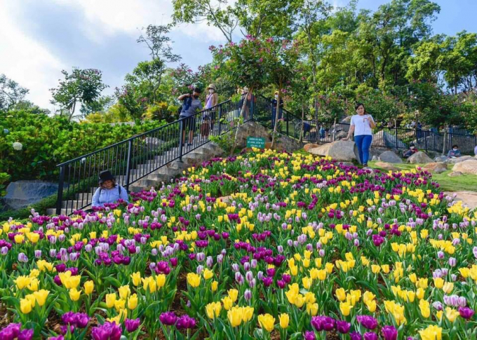 Du khách lưu giữ những khoảnh khắc ngập tràn sắc hoa ngày đầu xuân tại núi Bà Đen. Ảnh: Thanh Tân.