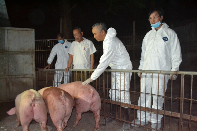 Thứ trưởng Bộ NN-PTNT Phùng Đức Tiến (thứ hai từ phải sang) kiểm tra công tác nhập khẩu lợn sống Thái Lan về Việt Nam ngày 12/6/2020 tại Đồng Nai. Ảnh: Trần Trung.