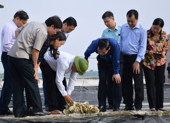 Bộ trưởng Nguyễn Xuân Cường thăm cơ sở sản xuất giống thủy sản tại huyện Kim Sơn (Ninh Bình). Ảnh: Lê Tuấn.