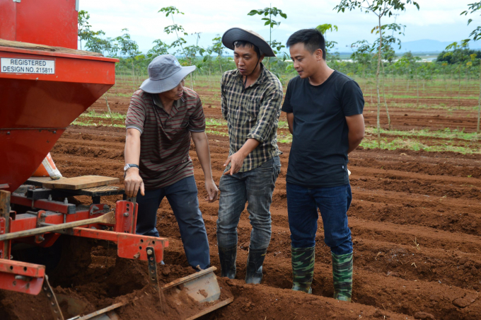 Nguyễn Quốc Bảo (đứng giữa) và Nguyễn Công Giang (bên phải) đưa cơ giới hóa trong việc gieo giống khoai tây. Ảnh: Nam Khánh