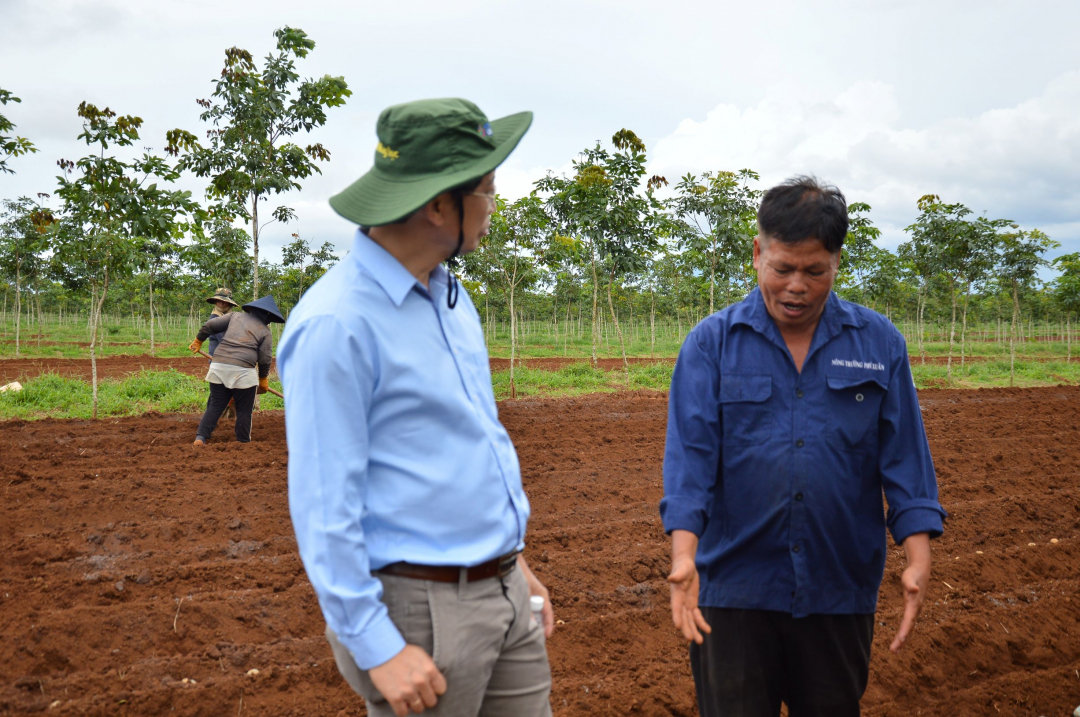 Anh Trần Trung Quyết (bên phải) xã Ea Drơng, huyện Cư M’gar trao đổi về kỹ thuật gieo giống bằng phương pháp thủ công. Ảnh: Nam Khánh.