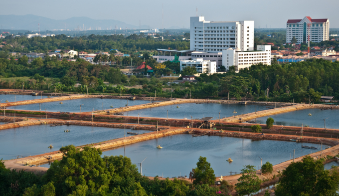 Trung tâm nghiên cứu tôm giống thủy sản lớn nhất Đông Nam Á của CP Group đặt tại Gành Hào, Đông Hải, Bạc Liêu là mũi nhọn phát triển nông nghiệp công nghệ cao của toàn vùng Đồng Bằng Sông Cửu Long.