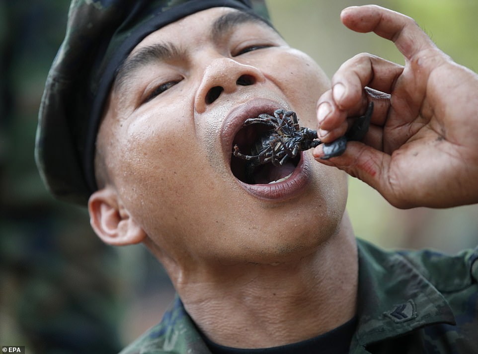 Các binh sỹ Thái Lan sẽ hướng dẫn cho các đồng nghiệp Mỹ và những quốc gia còn lại cách khống chế và xử lý những con rắn hổ mang hoặc làm thịt thằn lằn, ăn bọ cạp để sinh tồn. Ảnh: EPA.