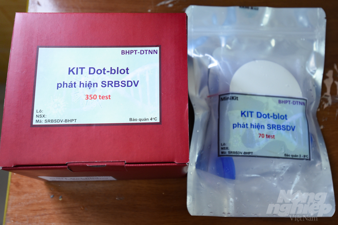Cận cảnh 2 mẫu đóng gói bộ KIT Dot-blot, mẫu lớn gồm 350 test và bộ nhỏ 70 test. 