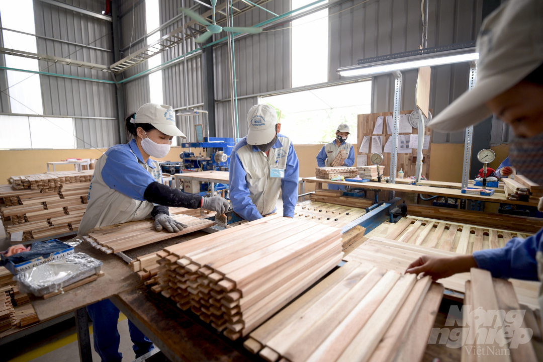 Công nhân sản xuất gỗ xuất khẩu ở công ty Woodsland, Tuyên Quang. Ảnh: Tùng Đinh.