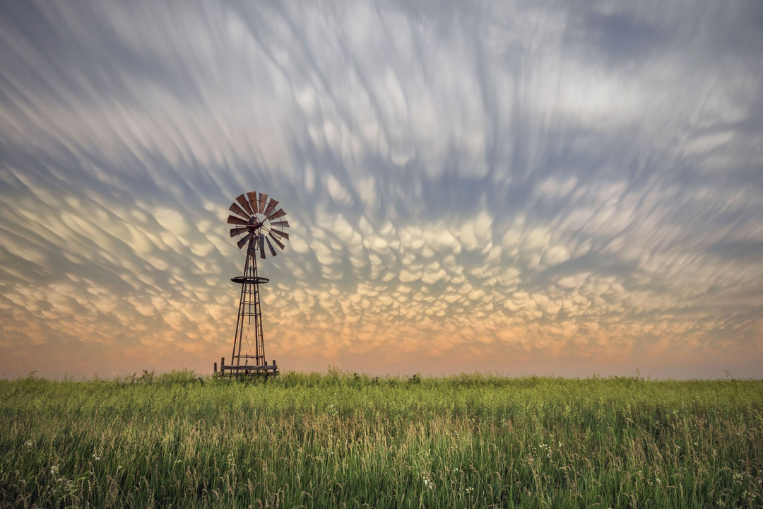 Theo số liệu từ Vụ Nghiên cứu kinh tế, Bộ Nông nghiệp Mỹ, năm 2019, Nebraska là bang có nguồn thu từ nông nghiệp lớn thứ 3 của nước này sau California và Iowa. Giá trị nông nghiệp của Nebraska trong năm 2019 vào khoảng 21,5 tỷ USD, chiếm hơn 5.8% của toàn nước Mỹ.