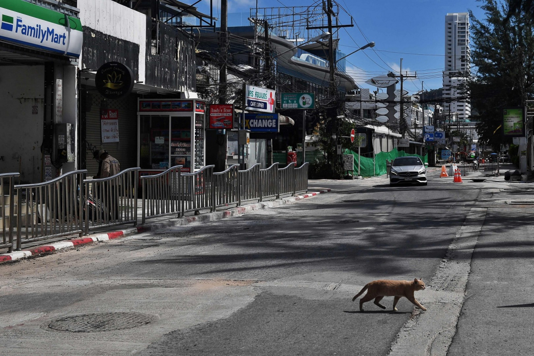 Chú mèo bước qua con phố mua sắm vắng vẻ ở thị trấn Patong, một trong những khu vực trung tâm, náo nhiệt nhất của Phuket trước khi xảy ra đại dịch Covid-19.