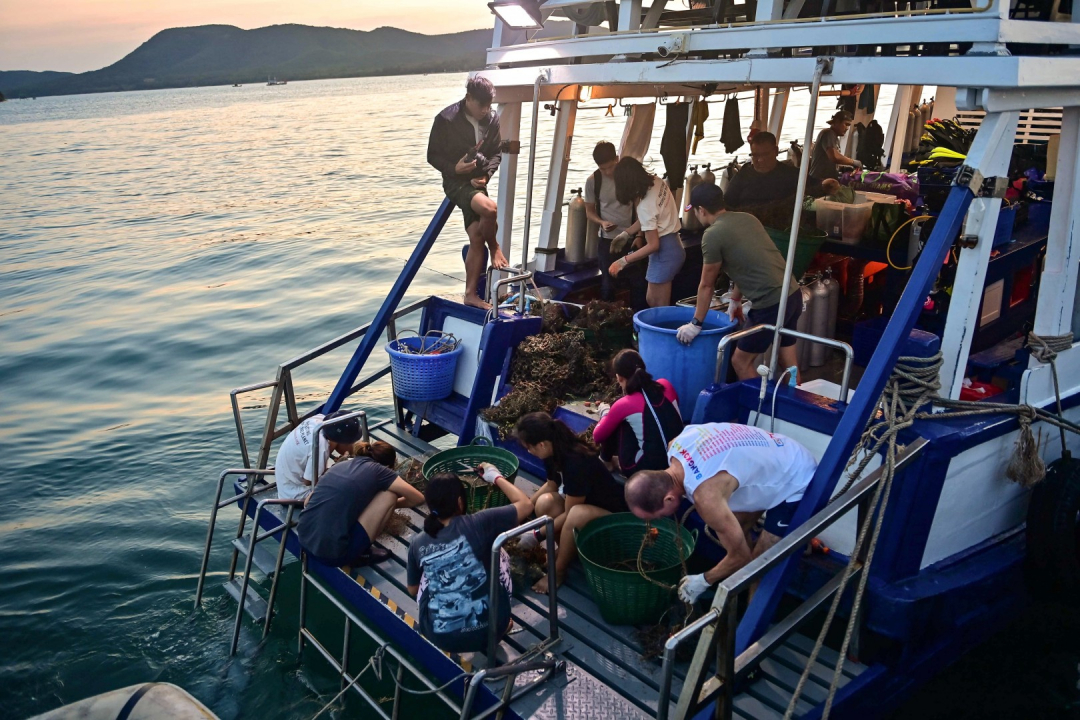 Các tình nguyện viên bảo vệ môi trường phân loại lưới đánh cá bỏ đi được thợ lặn vớt từ đáy biển.