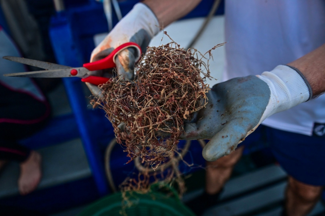 Cận cảnh một mảnh lưới đánh cá được vớt lên từ đáy biển.