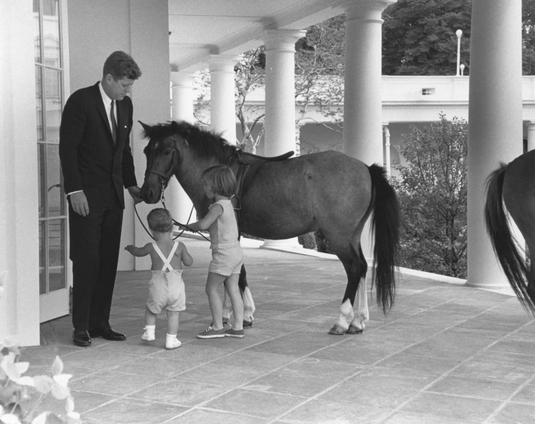 Tổng thống John F. Kennedy và các con chơi đùa cùng chú ngựa Macaroni tại Nhà Trắng.