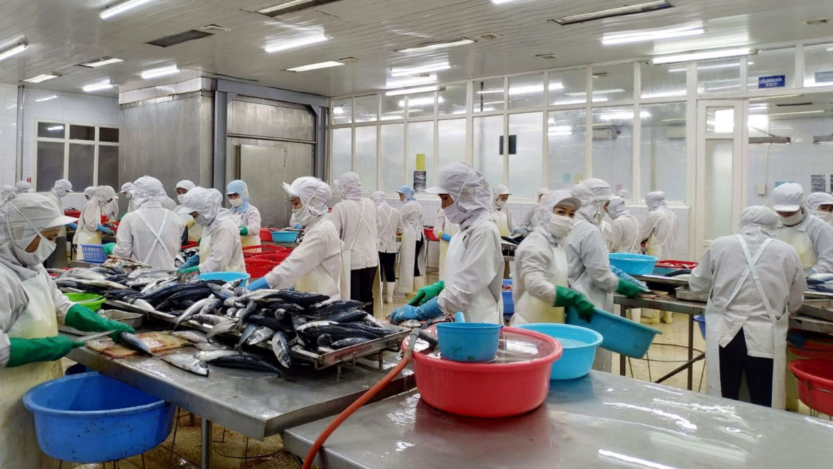 The seafood industry aims to export USD 8.5 billion in 2021. Photo: TL.