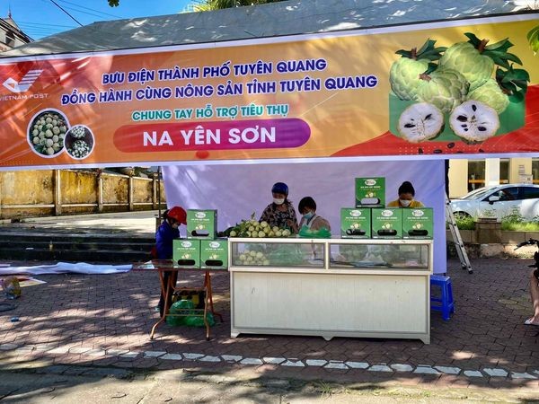 Các điểm hỗ trợ tiêu thụ nông sản của Bưu điện tỉnh Tuyên Quang.