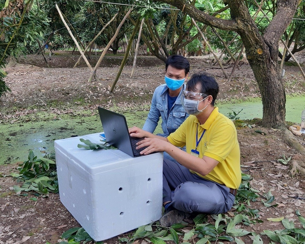 Nhân viên Bưu điện Việt Nam hỗ trợ nông dân ngay tại vườn.