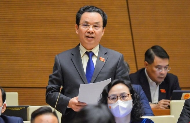 Đại biểu Hoàng Văn Cường (Hà Nội) nhận định qua 4 tháng cách ly chống dịch, kinh tế Việt Nam đã 'rơi thẳng đứng'.