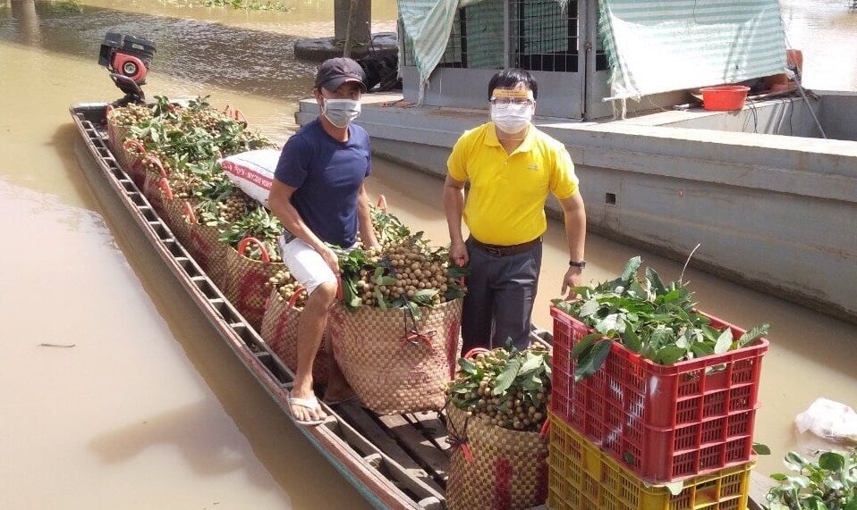 Nhân viên Bưu điện Việt Nam hỗ trợ nông dân tiêu thụ nông sản.