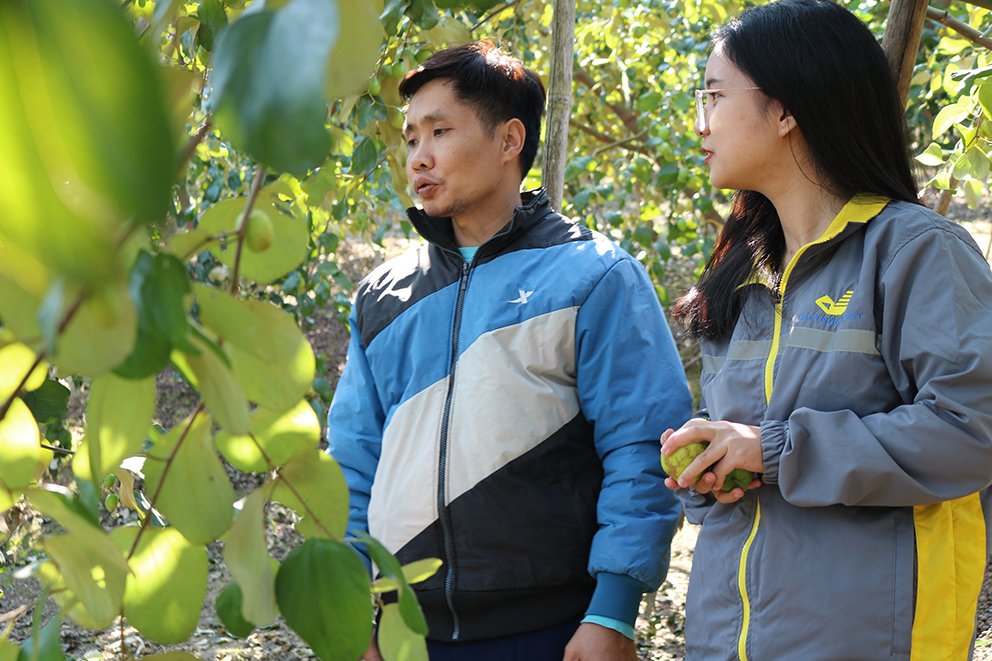 Nhân viên Bưu điện Việt Nam hướng dẫn người nông dân livestream bán hàng ngay tại vườn.