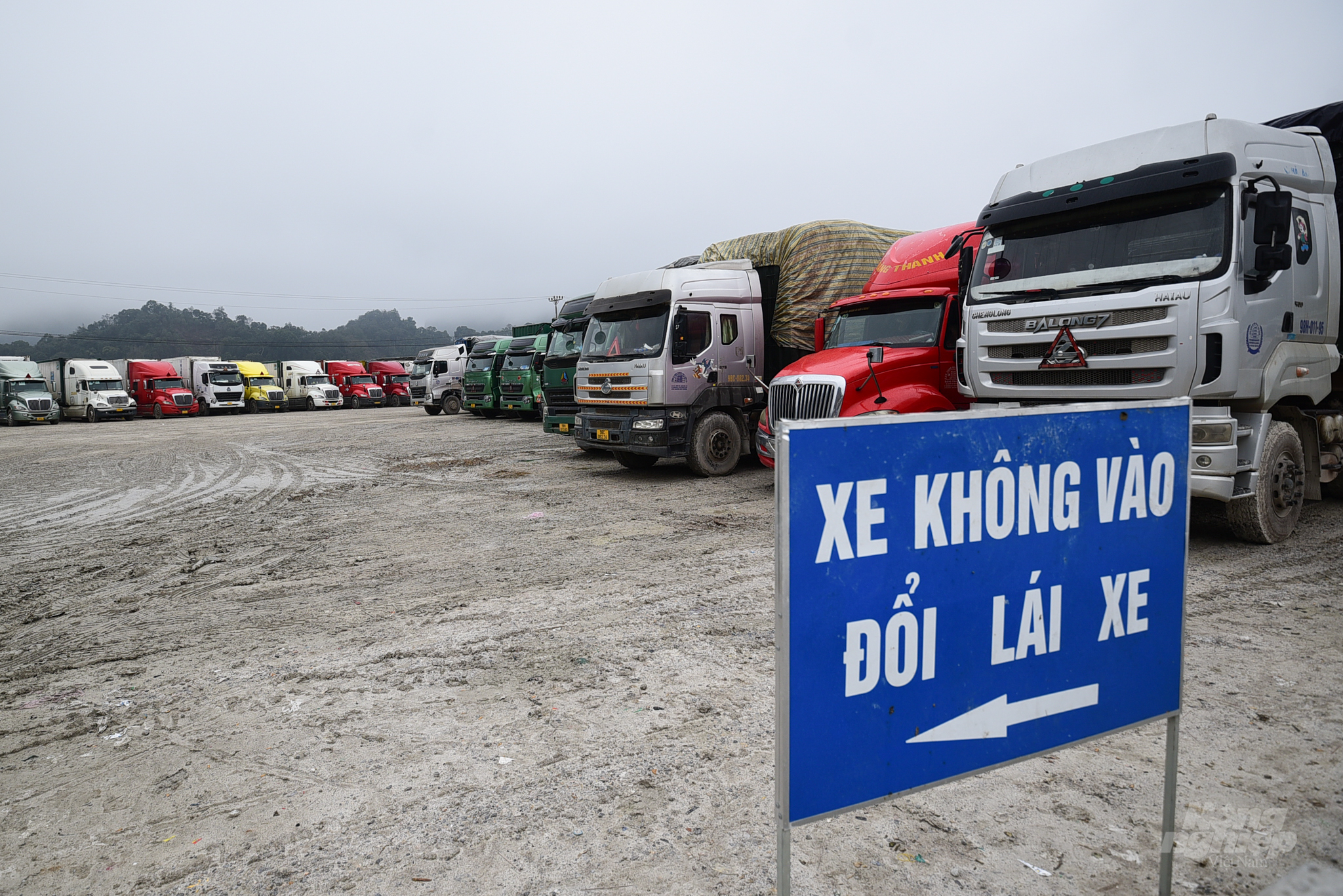 Hiện có khoảng 1.400 xe nông sản tươi đang chờ xuất khẩu ở các khu vực cửa khẩu của Lạng Sơn. Ảnh: Tùng Đinh.