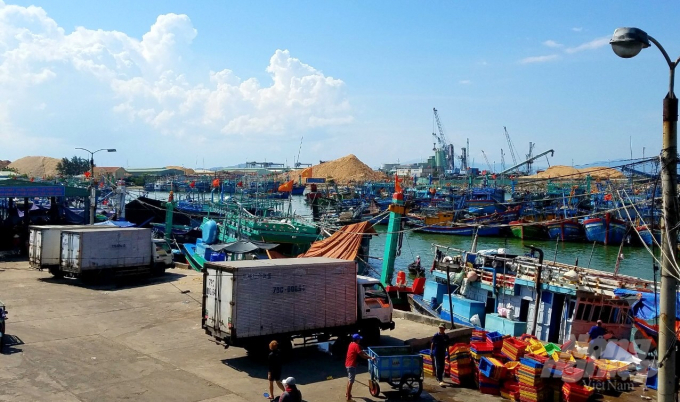 Tàu cá của ngư dân Bình Định về neo đậu tại cảng cá Quy Nhơn để tránh cơn bão số 5. Ảnh: Vũ Đình Thung.