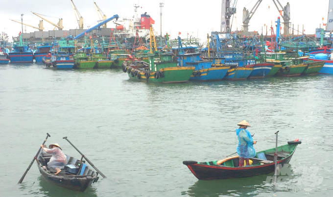 Hiện các ngành chức năng ở Bình Định không ngừng kêu gọi tàu thuyền của ngư dân cập vào bờ để tránh trú bão số 5. Ảnh: Vũ Đình Thung.