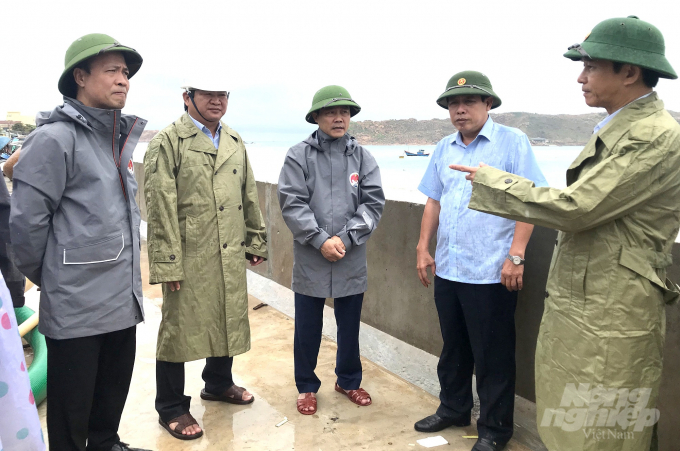 Đoàn công tác kiểm tra kè chắn sóng tại xã Nhơn Hải (TP Quy Nhơn). Ảnh: Vũ Đình Thung.