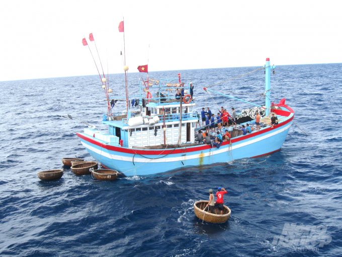 Từ 17h chiều 26/10 lệnh cấm biển đối với tàu cá ở Bình Định bắt đầu có hiệu lực. Ảnh: Vũ Đình Thung.