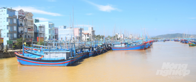 Tàu cá của ngư dân về neo đậu tại cảng cá Tam Quan (TX Hoài Nhơn, Bình Định) để tránh bão số 10. Ảnh: Vũ Đình Thung.