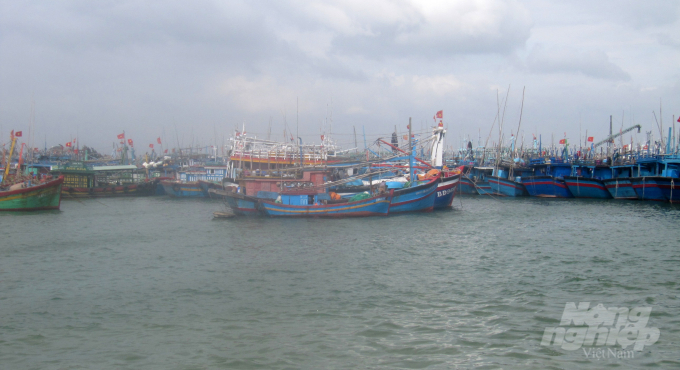 Tàu cá của ngư dân Bình Định về nơi tránh trú an toàn trước khi bão số 12 đổ bộ. Ảnh: Vũ Đình Thung.