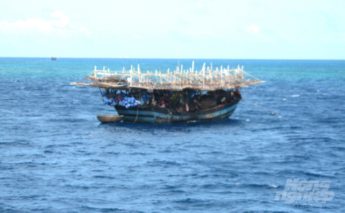 Một tàu cá hành nghề câu mực của ngư dân trên biển Đông: Ảnh minh họa: Vũ Đình Thung.