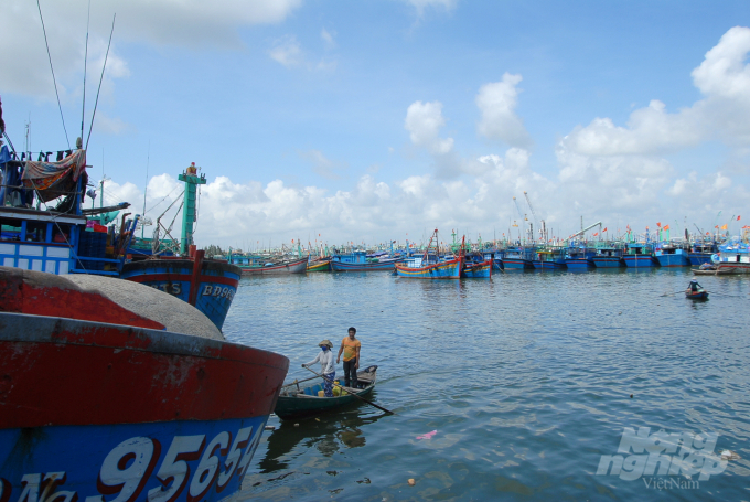 Tàu cá cập vào cảng cá Quy Nhơn (Bình Định) bán sản phẩm. Ảnh: Vũ Đình Thung.