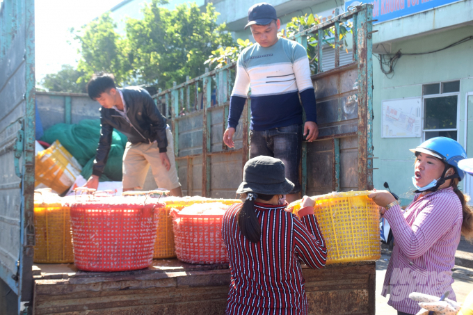 Ruốc được vận chuyển về tiêu thụ tại các chợ quê trong tỉnh Bình Định. Ảnh: Vũ Đình Thung.