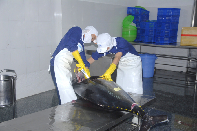 Sản phẩm cá ngừ đại dương tại Bình Định. Ảnh: Vũ Đình Thung.