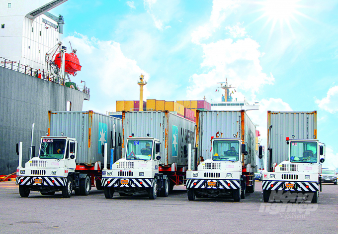 Enterprises now do not need to go to the Plant Quarantine Sub-Department of Region IV to carry out the customs clearance procedures. Photo: VDT.