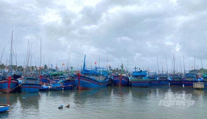 Tàu cá của ngư dân thị xã Hoài Nhơn (Bình Định) tránh trú bão số 9 năm 2021 tại Cảng cá Tam Quan. Ảnh: V.Đ.T