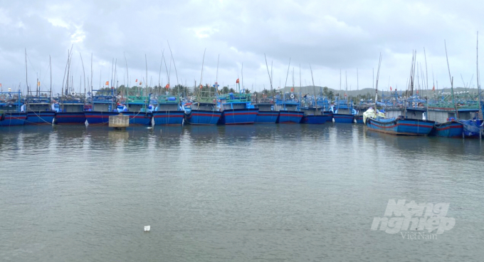Hiện tại Cảng cá Tam Quan (thị xã Hoài Nhơn, Bình Định) có hơn 1.800 tàu cá neo đậu tránh trú bão số 9. Ảnh: Đ.T.