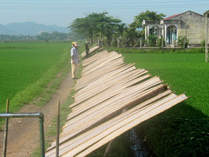 Đường đi giữa những đám ruộng ở xã Nhơn Phúc (thị xã An Nhơn, Bình Định) cũng được tận dụng để phơi bánh. Ảnh: V.Đ.T.