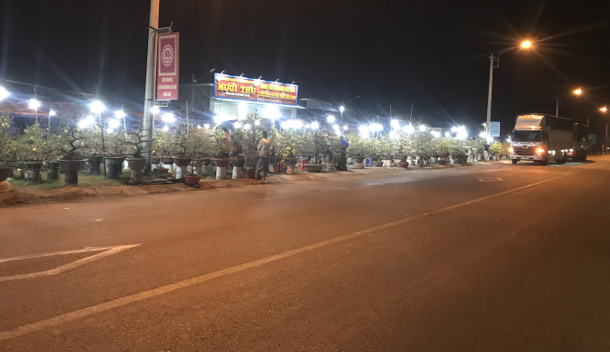 Mai phục vụ chơi Tết Nguyên đán Nhâm Dần 2022 bày bán dọc Quốc lộ 1A đoạn qua thị xã An Nhơn (Bình Định). Ảnh: V.Đ.T.