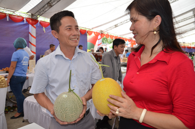 Sản phẩm dưa lưới trong nhà màng. Ảnh: NNVN.